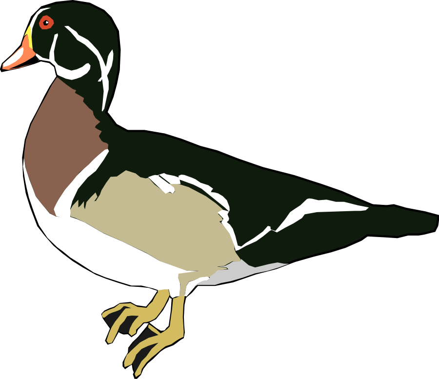 900x777 Ducks Clipart Schliferaward 3