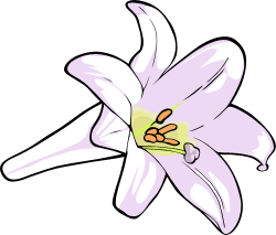 250x213 Easter Lilies Clipart Free