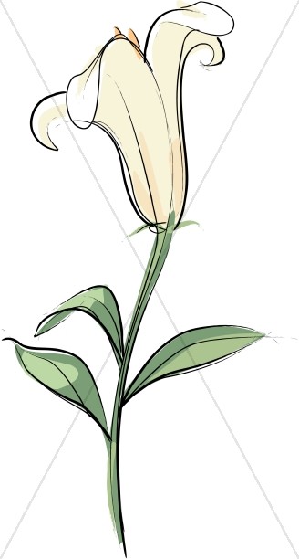 328x612 Lily Flower For The Easter Altar Church Flower Clipart