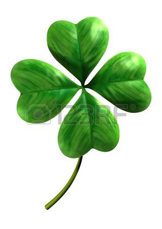 318x450 Four Leaf Clover Images Amp Stock Pictures. Royalty Free Four Leaf
