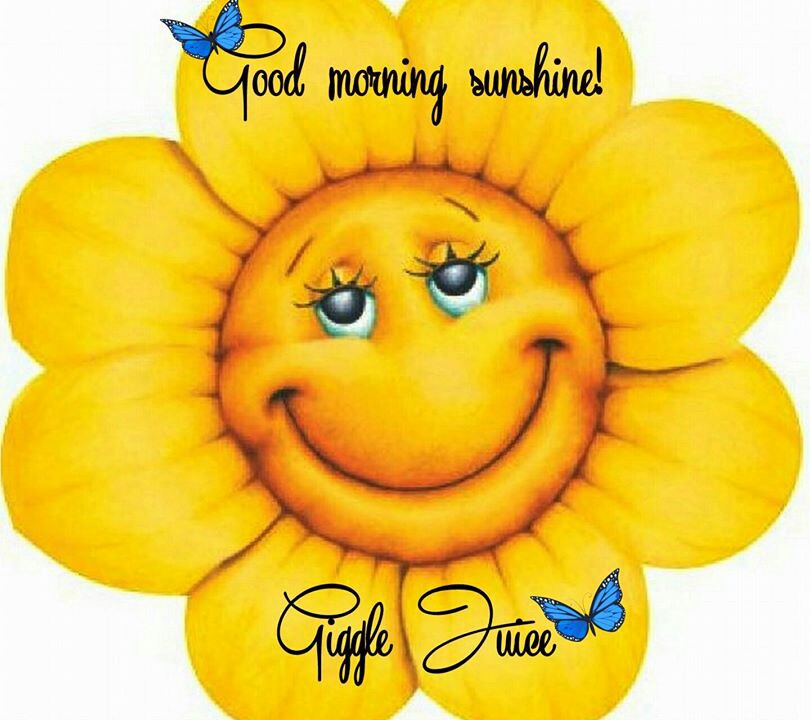 810x720 Good Morning Buona Giornata Weekend