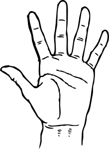 219x298 Hand Clipart