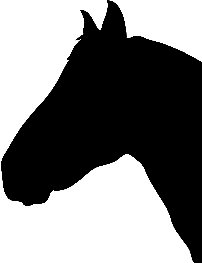 800x1042 Cute Horse Head Clipart Free