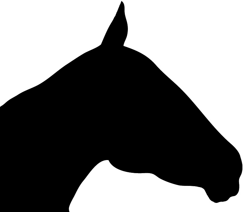800x698 Horse Head Graphic