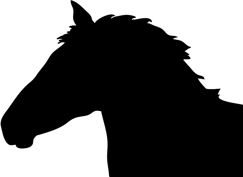 800x584 Silhouette Horse Head Clipart Image
