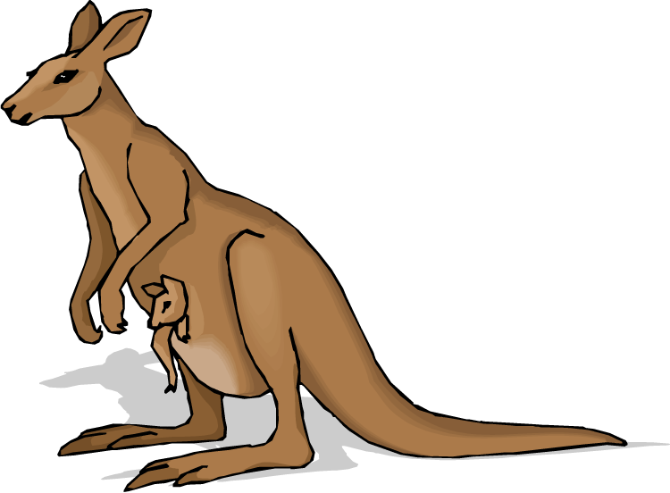 750x552 Kangaroo Clip Art Beer Free Clipart Images