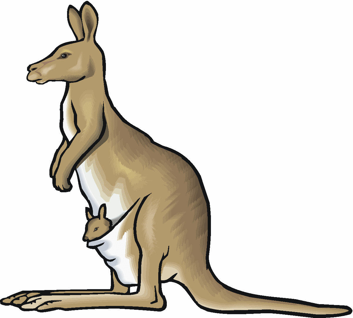 1200x1080 Kangaroo Clip Art Free Clipart Images 3
