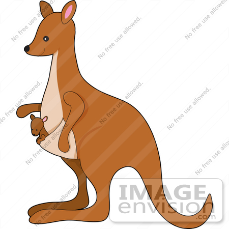 450x450 Royalty Free Australia Stock Clipart Amp Cartoons Page 1