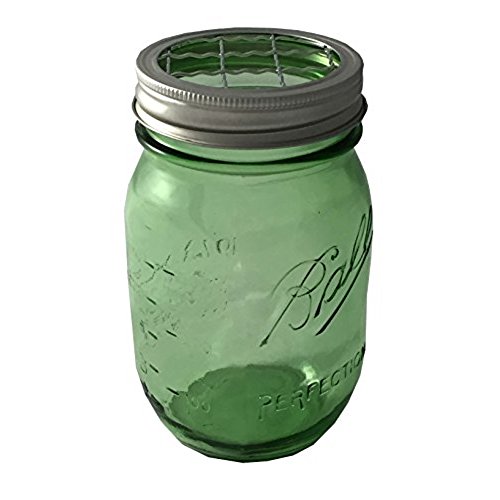 500x500 Green Mason Jars