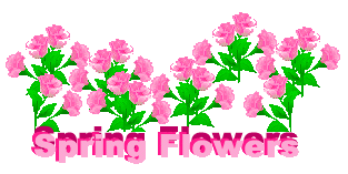 313x157 Free Spring Flower Clipart