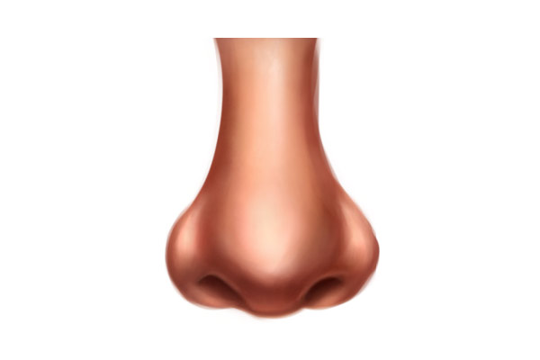 Images Of Nose