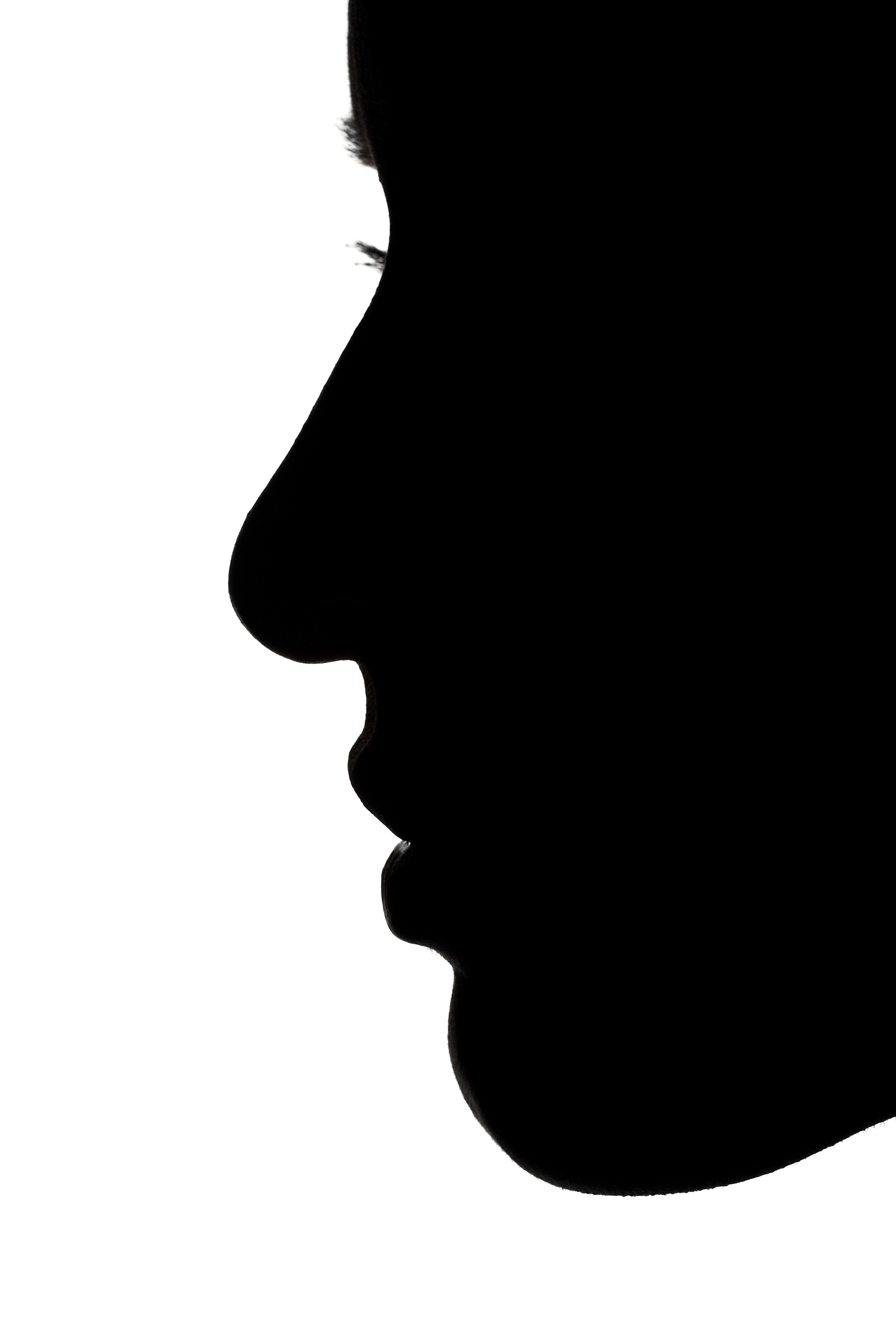 2592x3888 Free Stock Photos Of Nose Pexels
