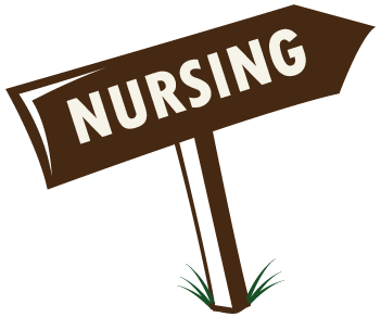 351x292 Shakuntla School Of Nursing Best Nursing Collage In Delhi