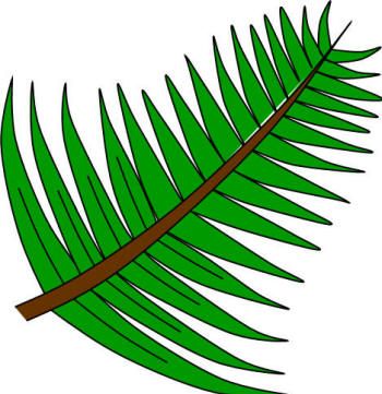 350x361 13 Best Palm Sunday Crafts For Kids Images Creative