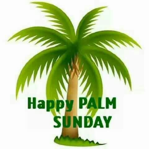 480x480 Palm Sunday 2017 The Story Behind And Date Of The Pre Easter