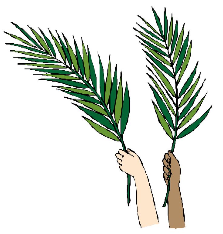 736x772 26 Best Palm Sunday Images Palms, Bible Stories