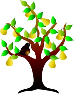 239x300 Branches Clip Art Tree Clipart Panda