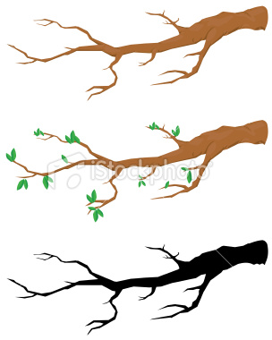 304x380 Clip Art Tree Branches Clipart Panda
