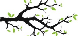272x125 Clip Art Tree Branches Clipart Panda