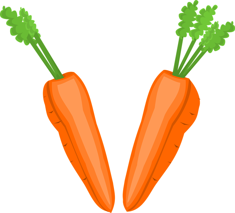 800x724 Vegetables Clipart Nutrition