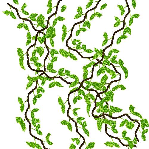 500x500 Vine Clipart Jungle Vine
