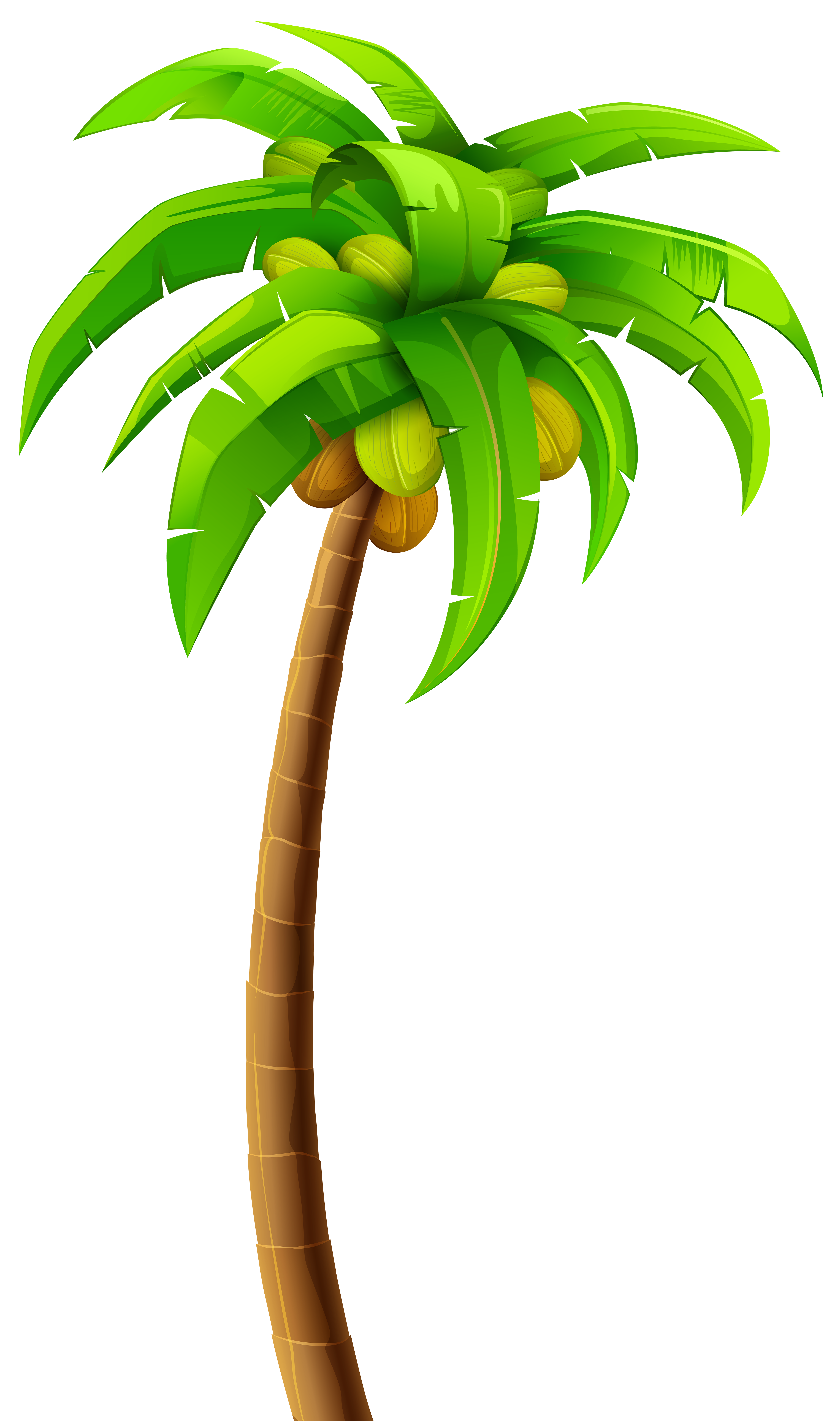 4730x8000 Palm Blossom Clipart