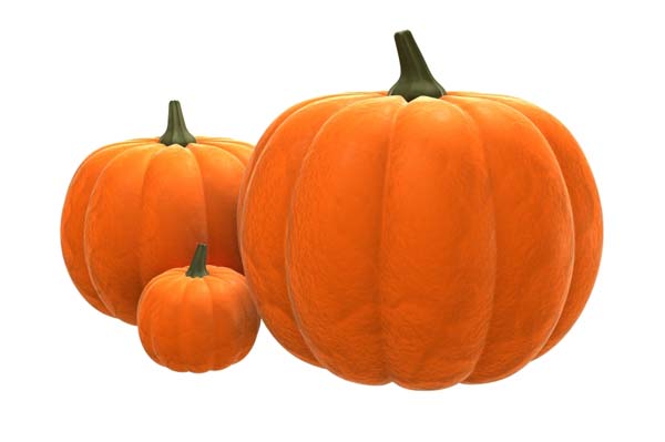 600x399 Pumpkin Recipes