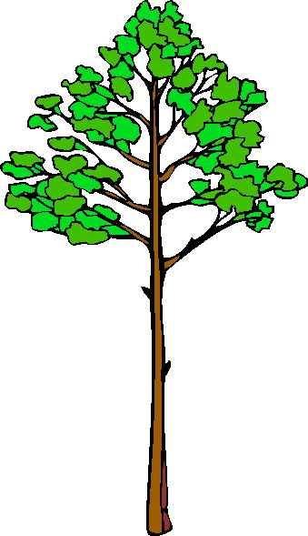 339x589 Trees Clip Art