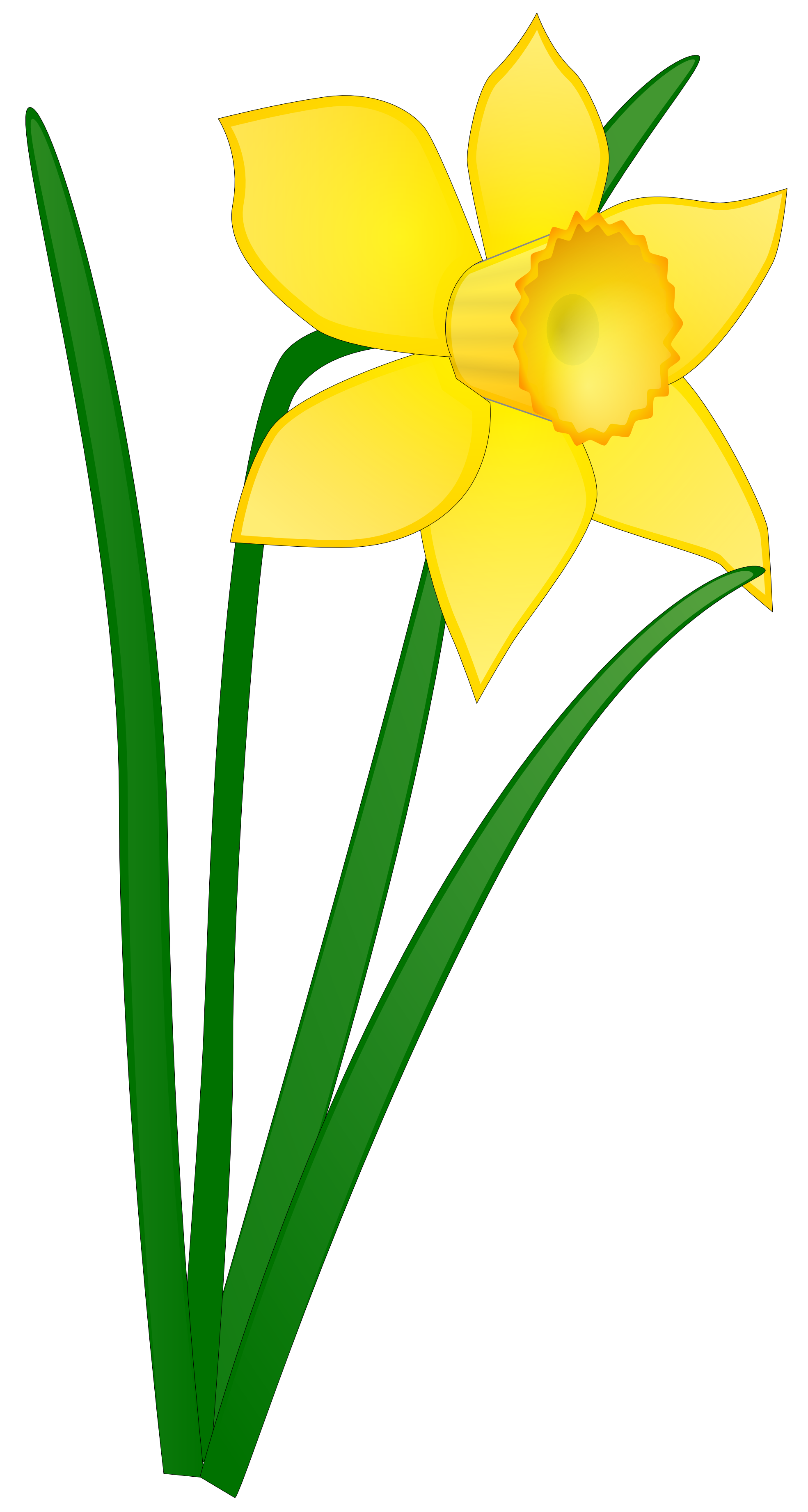 1969x3684 Flower No Background Clipart