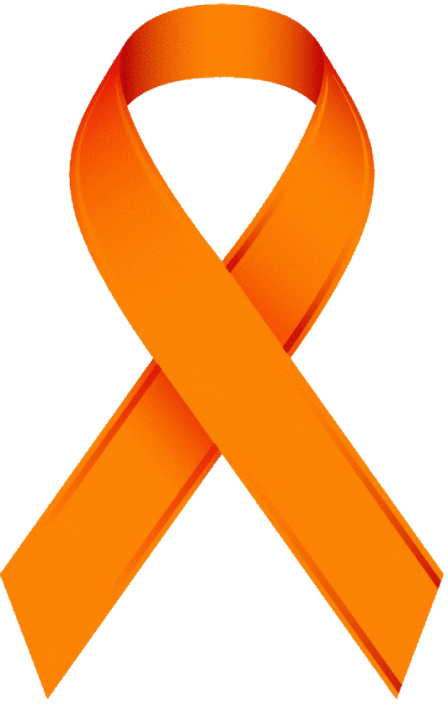 640x1009 Orange Awareness Ribbon Clip Art