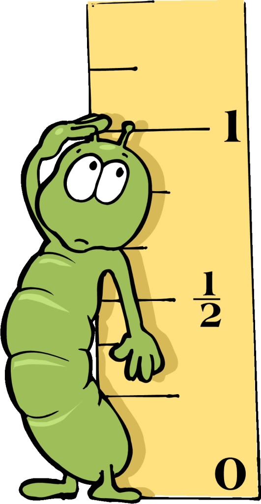 531x1023 Inchworm Clipart Ruller