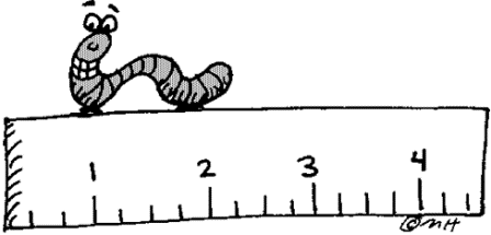 448x215 Worm Clipart Inch