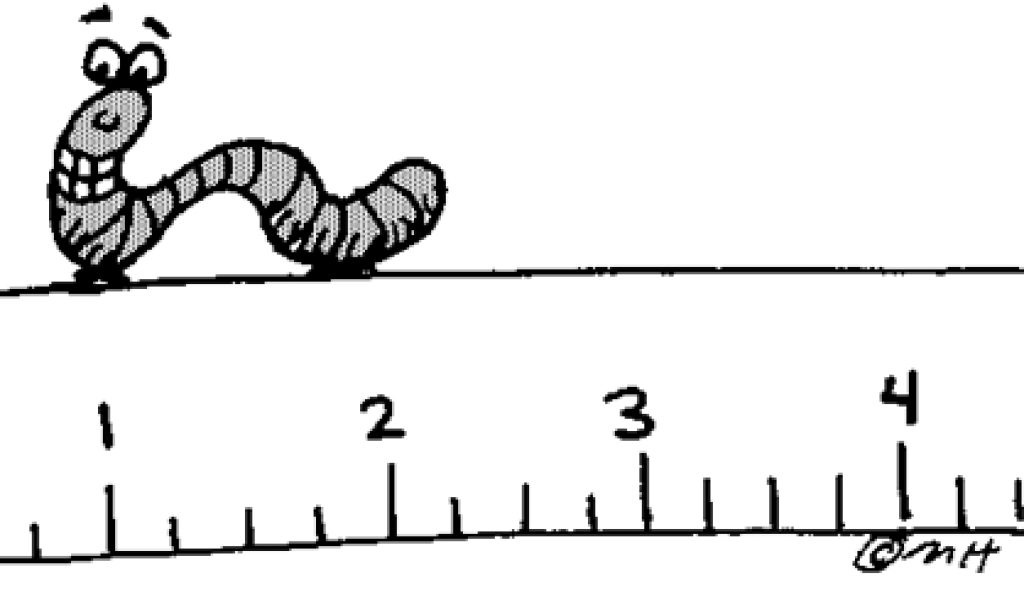 1024x600 Inchworm Clipart Black And White Letters