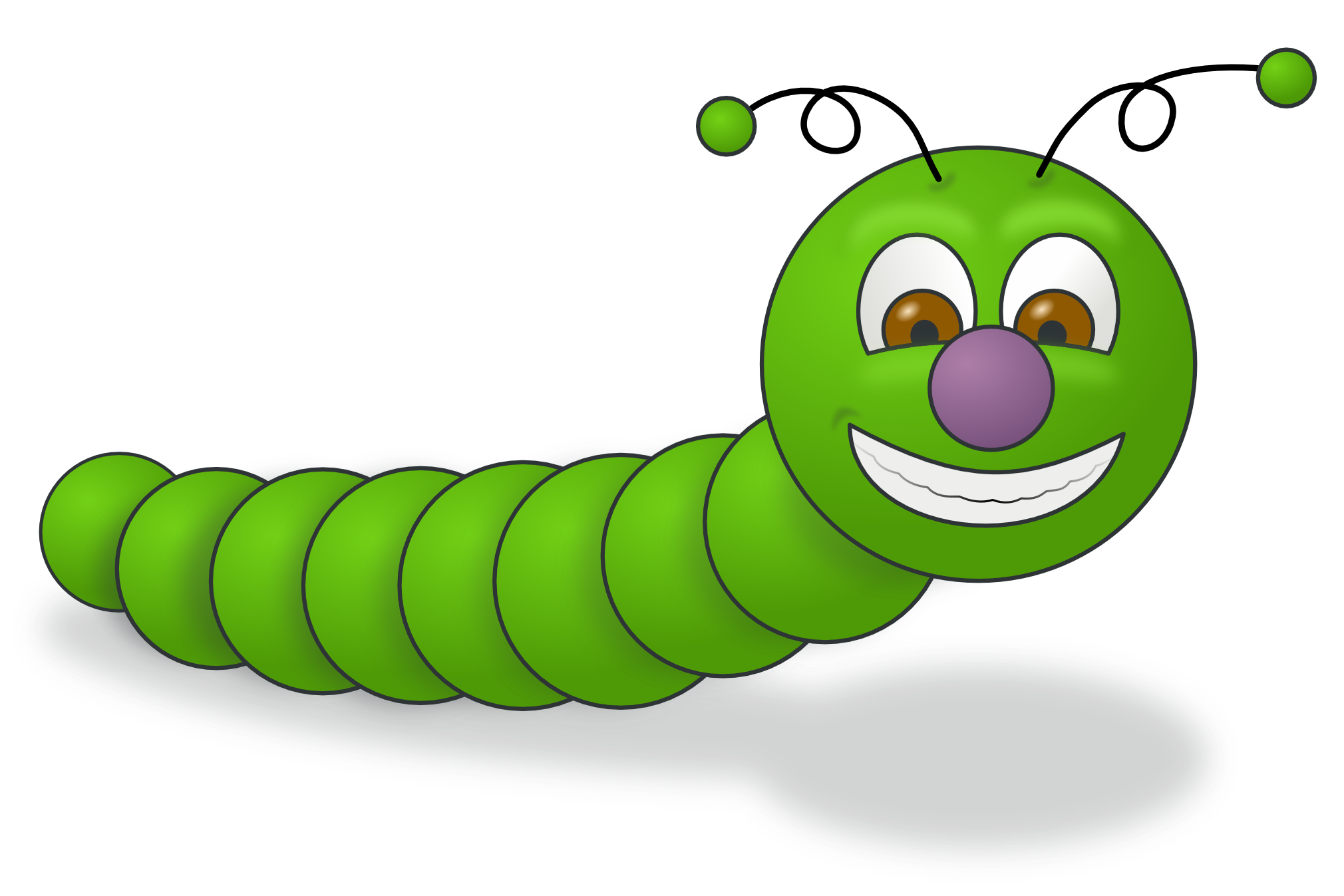 2020x1347 Inchworm Clipart Cute