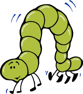 288x324 Inchworm Clipart Larva