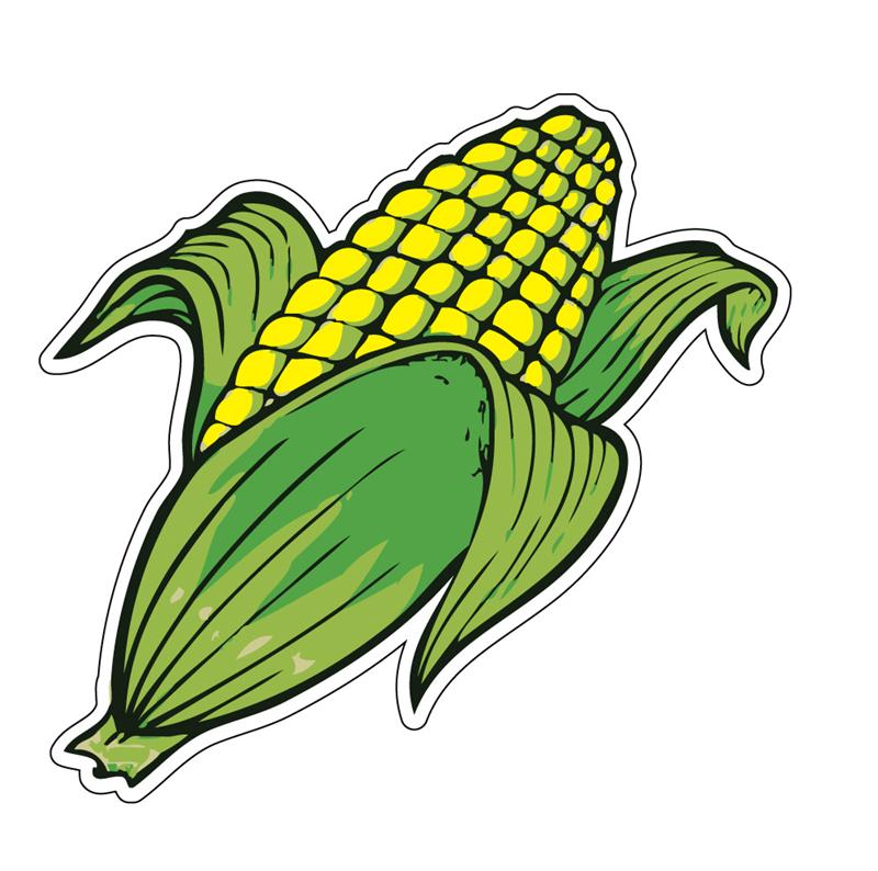 800x794 Corn Clipart Easy