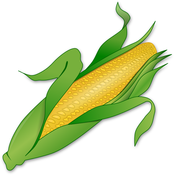 600x595 Corn Clipart Clip Art Of A Sweet Yellow Ear Of Corn The Cob