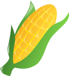 273x298 Corn Clipart Indian Corn Clip