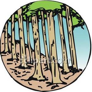 300x300 Forest Clip Art Clipart Panda