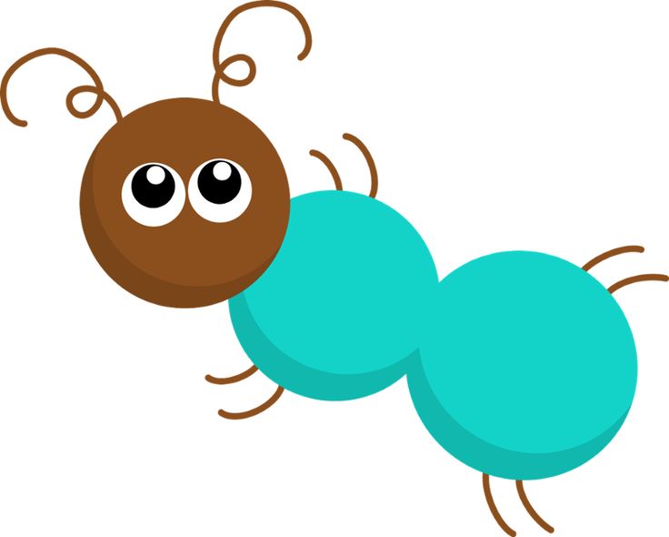 736x590 Insect Clipart Pond
