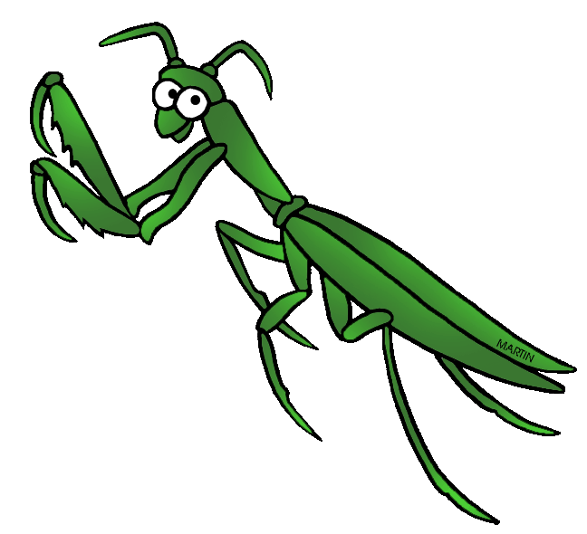 648x590 Top 94 Praying Mantis Clip Art