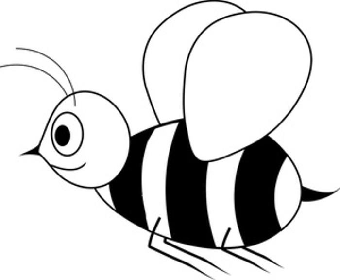 700x576 Free Bee Clipart Black And White Image
