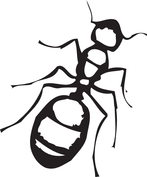 498x599 Sketch Of An Ant Clip Art