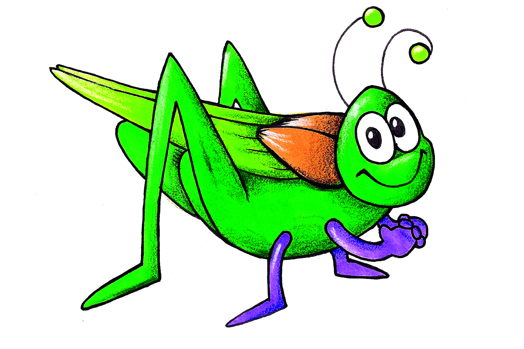 1800x1200 Bugs Clipart Insect