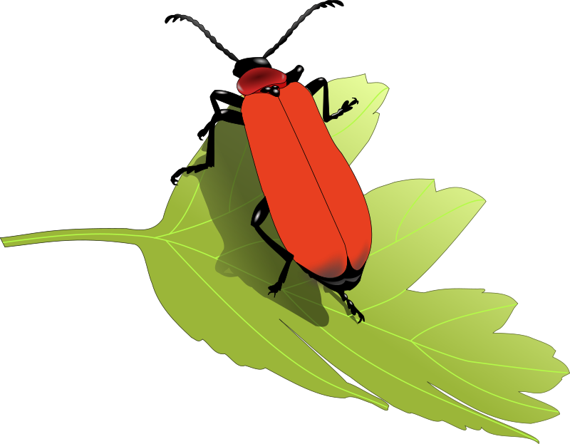 800x623 Clip Art Insects Clipart Image