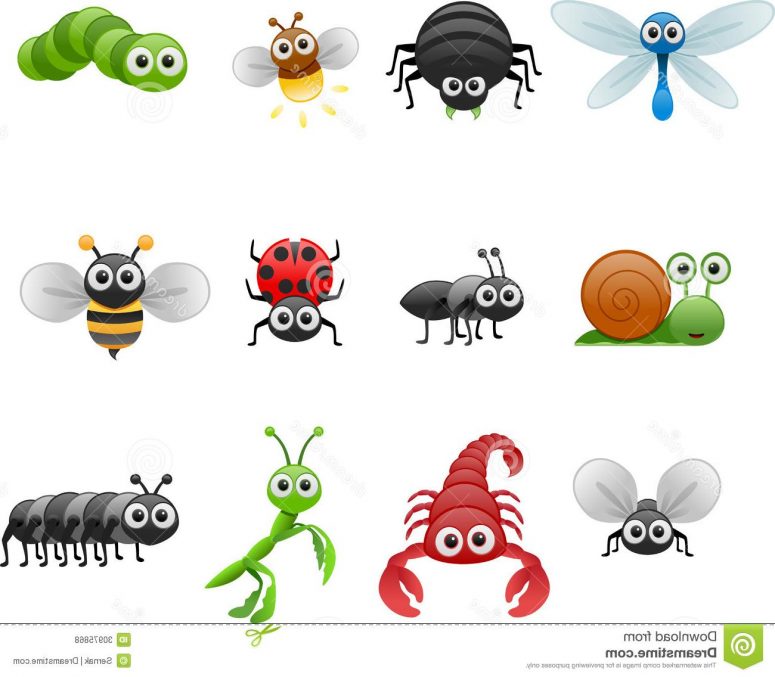 775x677 Hd Cartoon Bugs And Insects Vector Image