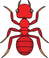 166x195 Ant Clipart Insect