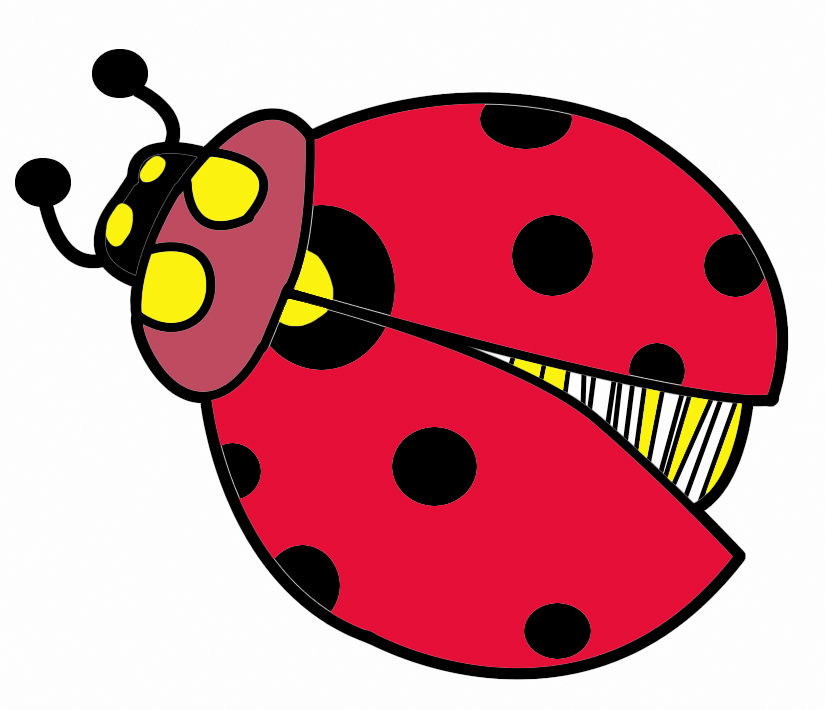825x710 Lady Bug Clipart Google Search Clipart Insects Image