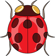 191x195 Insect Clipart Tn Ladybug Insects