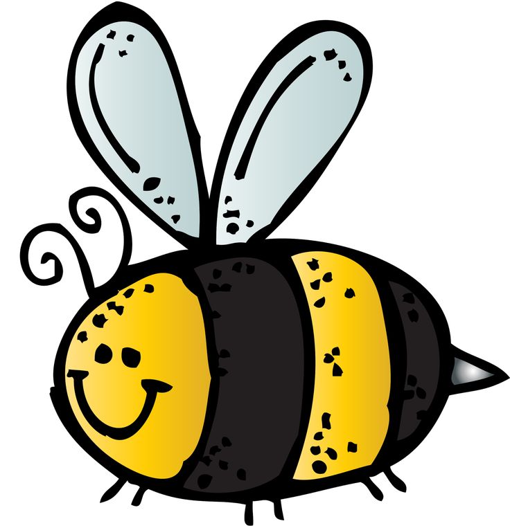 736x763 Brds Clipart Insect
